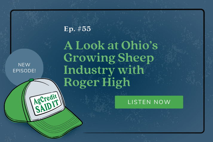 Episode 55: A Look at Ohio's Growing Sheep Industry with Roger High ...